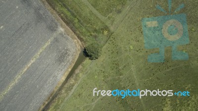 Country Agricultural And Farming Field Stock Photo