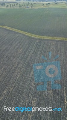 Country Agricultural And Farming Field Stock Photo