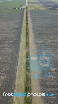 Country Agricultural And Farming Field Stock Photo