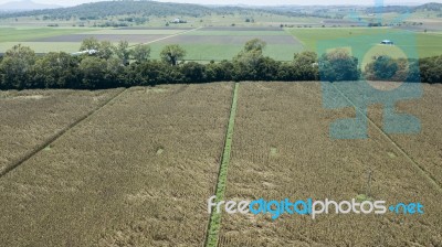 Country Agricultural And Farming Field Stock Photo