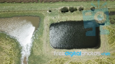 Country Agricultural And Farming Field Stock Photo