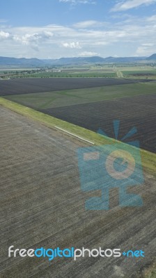 Country Agricultural And Farming Field Stock Photo