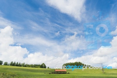 Country Farm Hokkaido Stock Photo