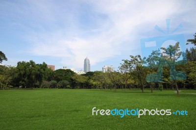 Country Located Skyline Of Public Park Stock Photo