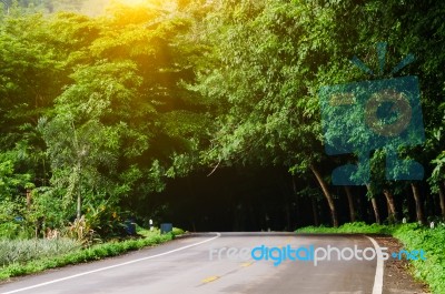 Country Road Green Tree And Sunbeam Stock Photo