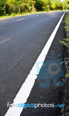 Country Road Lined  In North-east Thailand Stock Photo