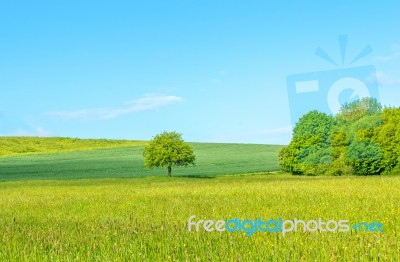 Countryside Stock Photo