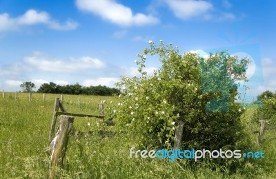 Countryside Stock Photo