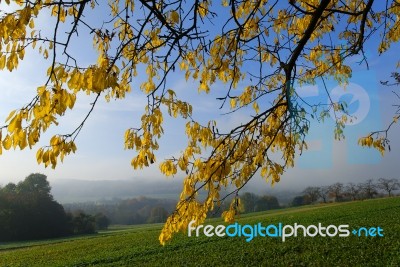 Countryside Stock Photo