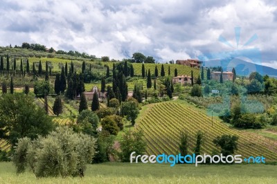 Countryside Around Sant Antimo Abbey In Montalcino Tuscany Stock Photo