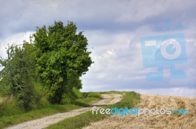 Countryside Lane Stock Photo