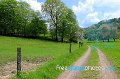 Countryside Lane Stock Photo