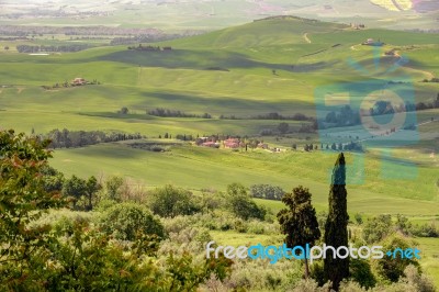 Countryside Of Val D'orcia Stock Photo