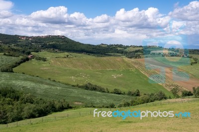 Countryside Of Val D'orcia In Tuscany Stock Photo