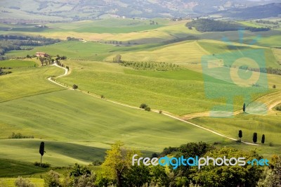 Countryside Of Val D'orcia Near Pienza Stock Photo