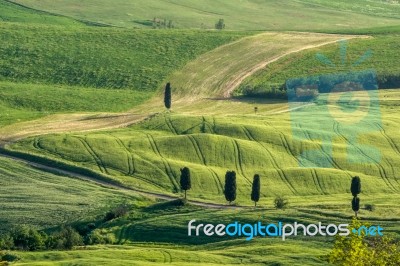 Countryside Of Val D'orcia Tuscany Stock Photo