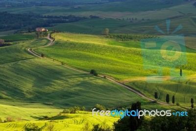 Countryside Of Val D'orcia Tuscany Stock Photo