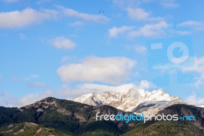 Countryside Of Yellowstone National Park Stock Photo