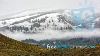 Countryside Of Yellowstone National Park Stock Photo