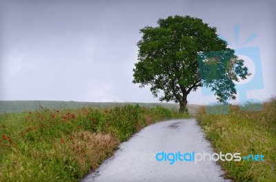 Countryside Rainy Day Stock Photo