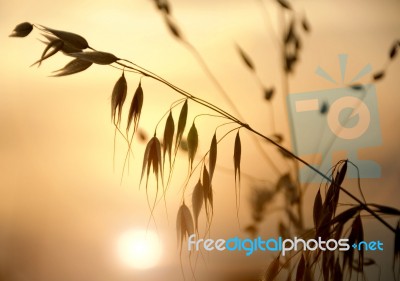 Countryside Sunset Stock Photo