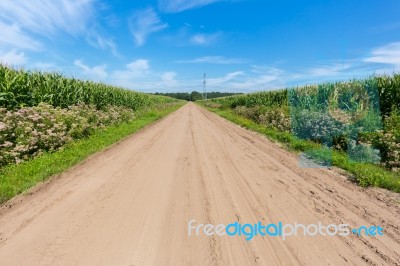 Countryside With Sandy Road And Corn Fields Stock Photo