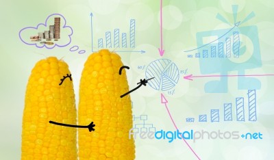 Couple Corn Drawing Business Graph Stock Photo