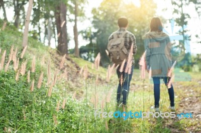 Couple Of Asian Tourists Walking Is A Wild Adventure Stock Photo