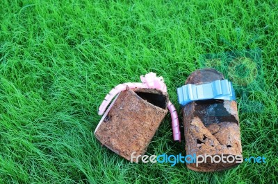 Couple Of Rusty Can With Ribbon On Young Grass,like A Sign Of 