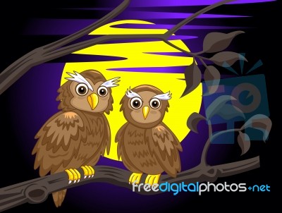 Couple Owl Stock Image