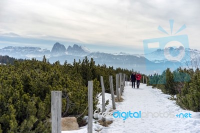 Couple Walking On The Alp In Rinderplatz Pasture In South Tyrol Stock Photo