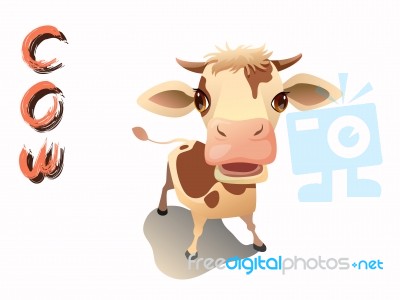 Cow Stock Image