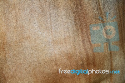 Cow Skin Stock Photo