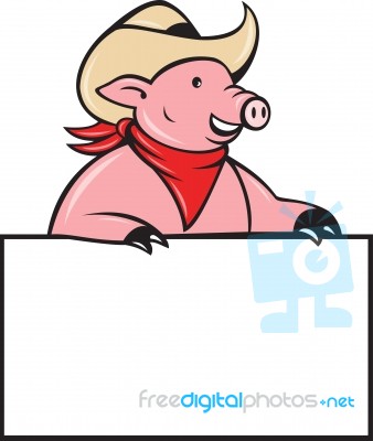 Cowboy Pig Hog Holding Blank Sign Stock Image