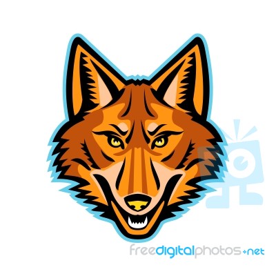 Coyote Head Front Mascot Stock Image