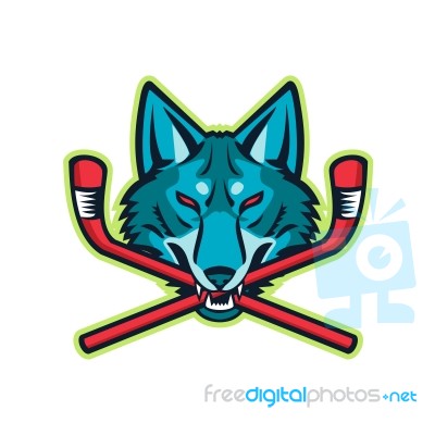 Coyote Ice Hockey Sports Mascot Stock Image