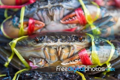 Crabs background Stock Photo