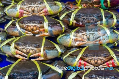 Crabs background Stock Photo