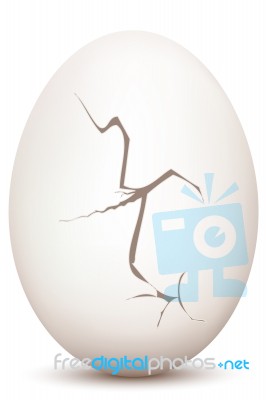 Cracked Egg Stock Image