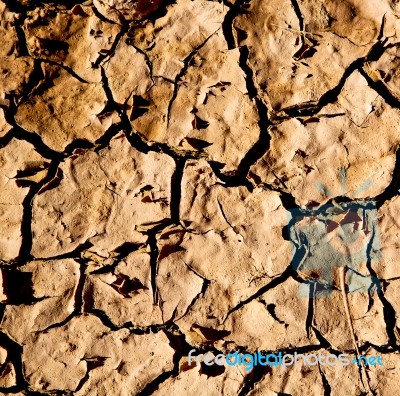 Cracked Sand In Morocco Africa Desert Abstract Macro Stock Photo