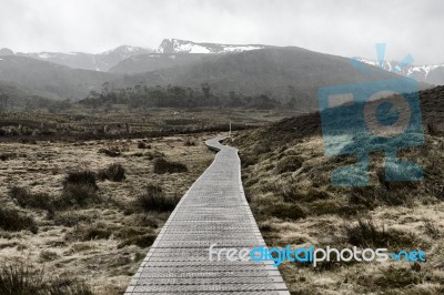 Cradle Mountain In Tasmania Stock Photo