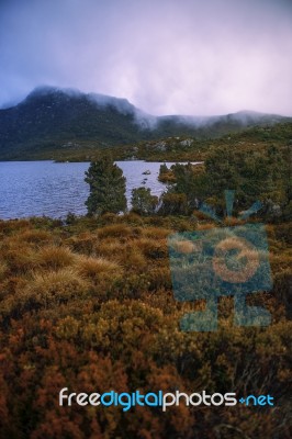 Cradle Mountain In Tasmania On A Cloudy Day Stock Photo