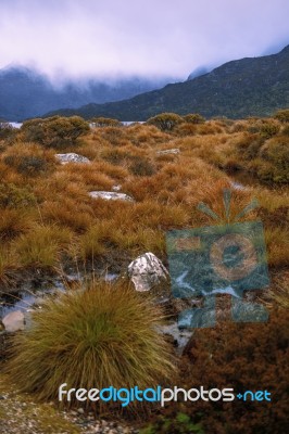 Cradle Mountain In Tasmania On A Cloudy Day Stock Photo