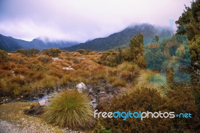 Cradle Mountain In Tasmania On A Cloudy Day Stock Photo