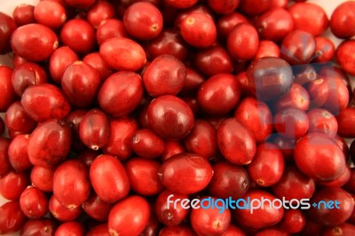 Cranberries Stock Photo