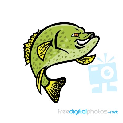 Crappie Fish Mascot Stock Image