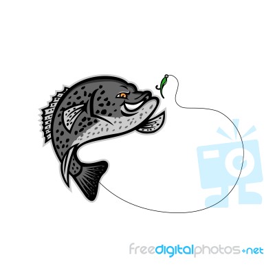 Crappie Jumping For A Bait Mascot Stock Image