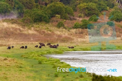 Crater Pan In Marsabit Kenya Stock Photo