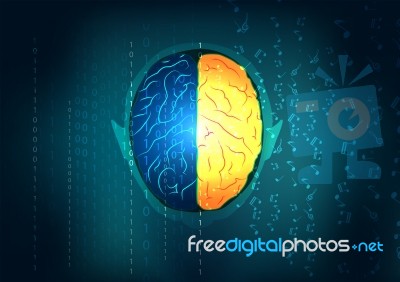 Creative Brain Idea. Left And Right Brain Functions,human Brain Concept Stock Image