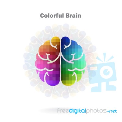 Creative Colorful Left And Right Brain Stock Image